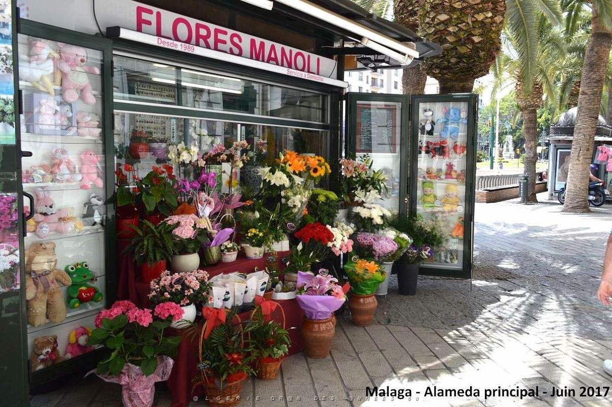069- Malaga Alameda principal.JPG